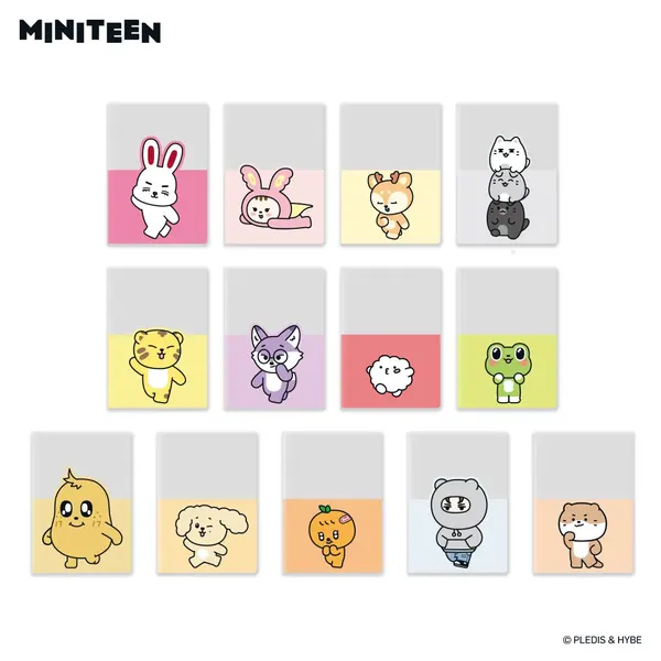 MINITEEN PASSPORT CASE OEM 제작 사례