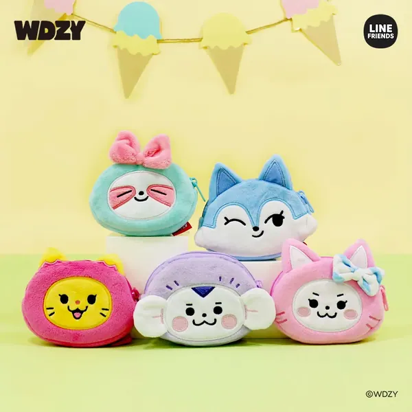 WDZY COIN CASE OEM 제작 사례